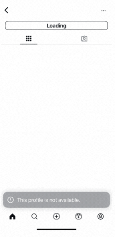 _Example Error messages on Mobile for Instagram connection .gif